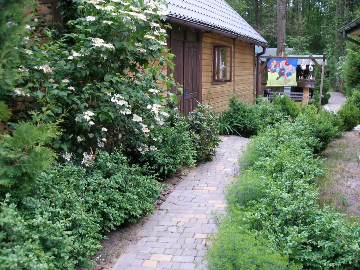 Світязький Хуторок Svityaz' Exterior foto